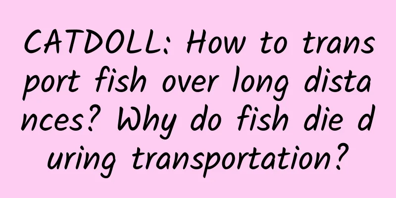 CATDOLL: How to transport fish over long distances? Why do fish die during transportation?