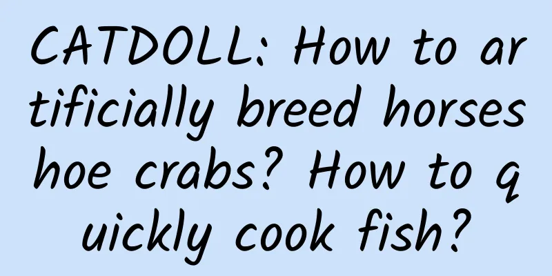 CATDOLL: How to artificially breed horseshoe crabs? How to quickly cook fish?