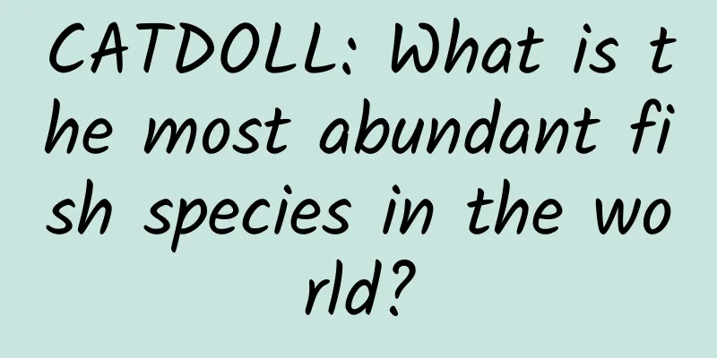 CATDOLL: What is the most abundant fish species in the world?