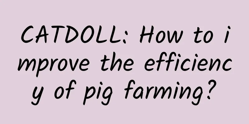 CATDOLL: How to improve the efficiency of pig farming?