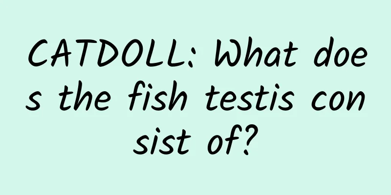 CATDOLL: What does the fish testis consist of?