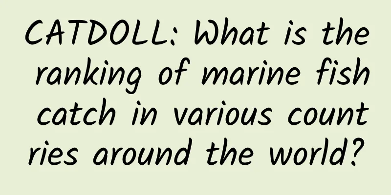 CATDOLL: What is the ranking of marine fish catch in various countries around the world?