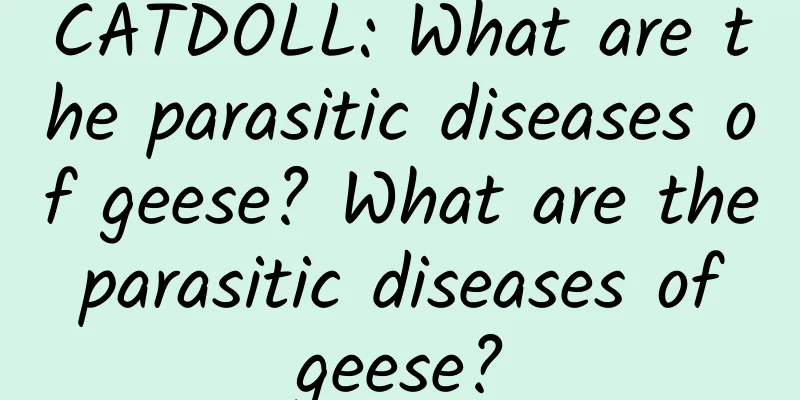 CATDOLL: What are the parasitic diseases of geese? What are the parasitic diseases of geese?