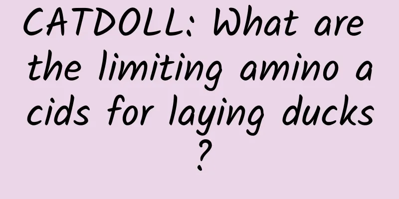 CATDOLL: What are the limiting amino acids for laying ducks?
