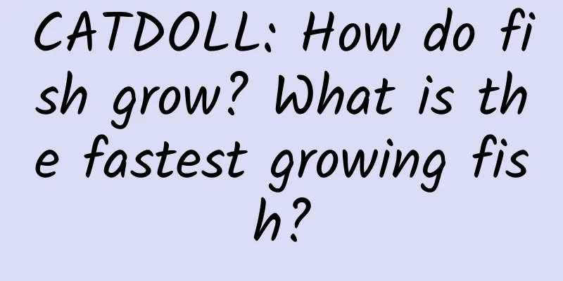 CATDOLL: How do fish grow? What is the fastest growing fish?