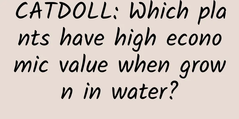 CATDOLL: Which plants have high economic value when grown in water?
