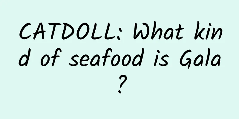 CATDOLL: What kind of seafood is Gala?