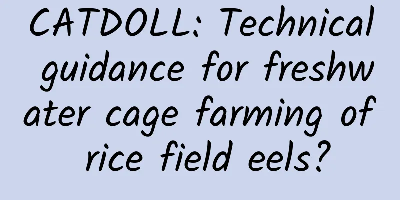CATDOLL: Technical guidance for freshwater cage farming of rice field eels?