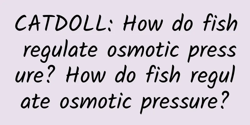 CATDOLL: How do fish regulate osmotic pressure? How do fish regulate osmotic pressure?