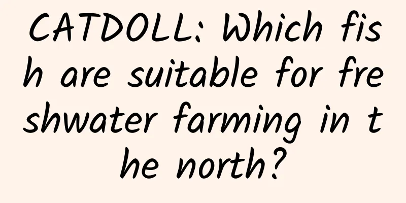 CATDOLL: Which fish are suitable for freshwater farming in the north?