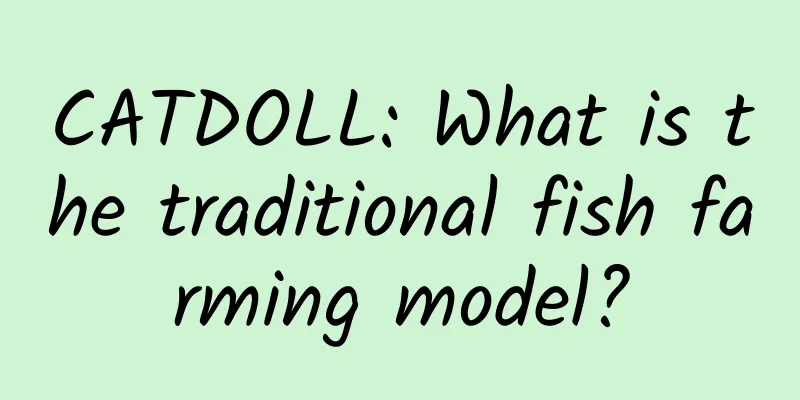 CATDOLL: What is the traditional fish farming model?