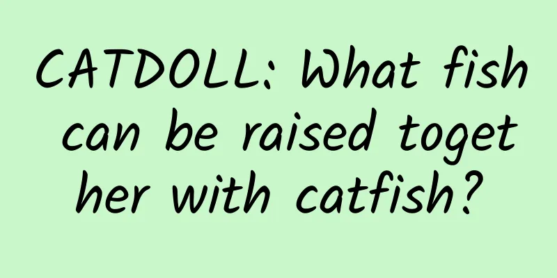 CATDOLL: What fish can be raised together with catfish?