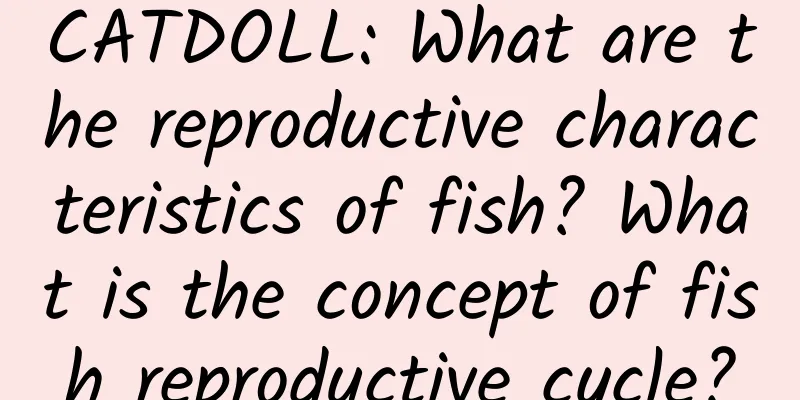 CATDOLL: What are the reproductive characteristics of fish? What is the concept of fish reproductive cycle?