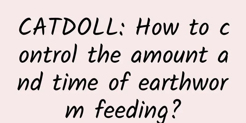 CATDOLL: How to control the amount and time of earthworm feeding?