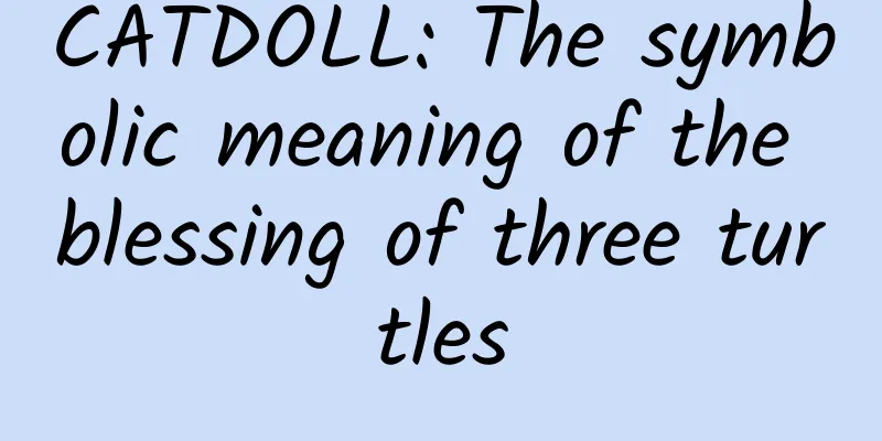 CATDOLL: The symbolic meaning of the blessing of three turtles