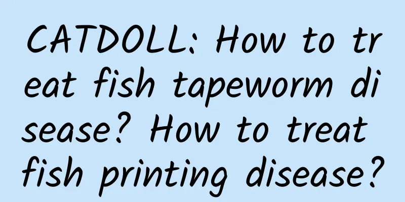 CATDOLL: How to treat fish tapeworm disease? How to treat fish printing disease?