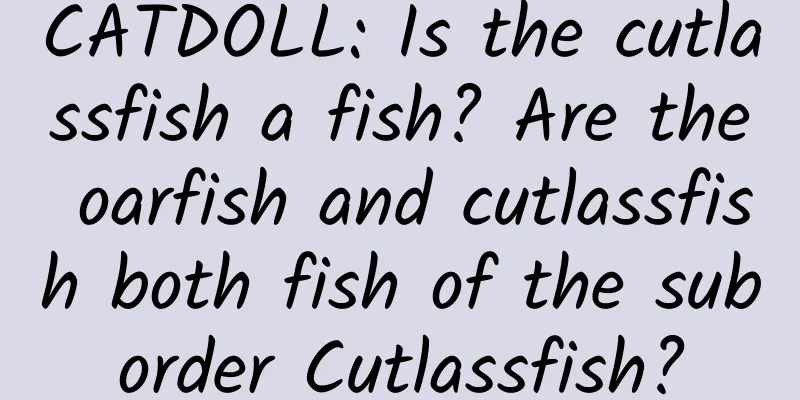 CATDOLL: Is the cutlassfish a fish? Are the oarfish and cutlassfish both fish of the suborder Cutlassfish?