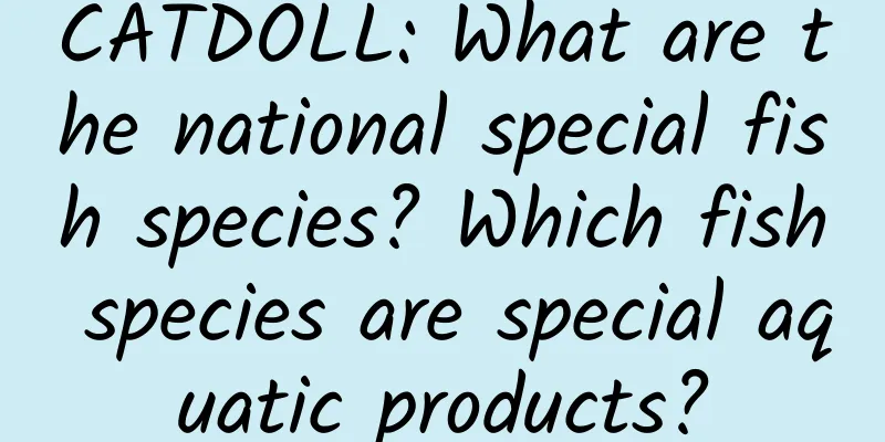 CATDOLL: What are the national special fish species? Which fish species are special aquatic products?