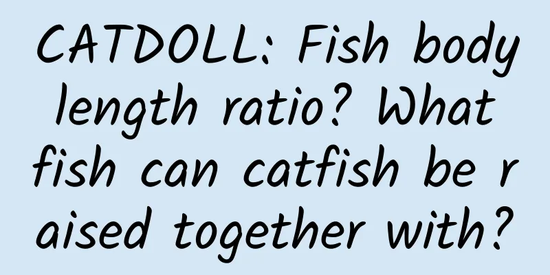 CATDOLL: Fish body length ratio? What fish can catfish be raised together with?