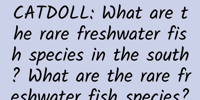 CATDOLL: What are the rare freshwater fish species in the south? What are the rare freshwater fish species?