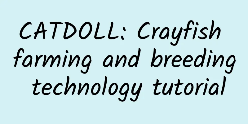 CATDOLL: Crayfish farming and breeding technology tutorial