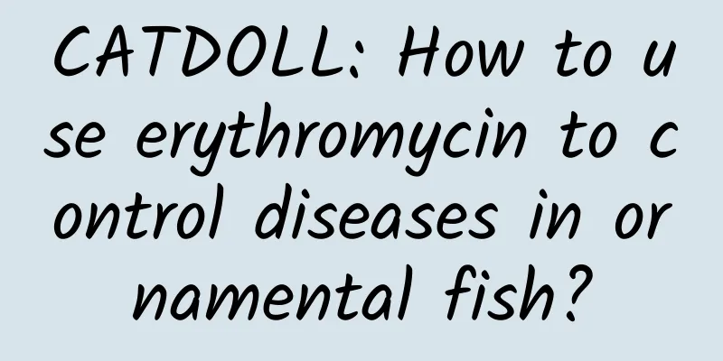 CATDOLL: How to use erythromycin to control diseases in ornamental fish?
