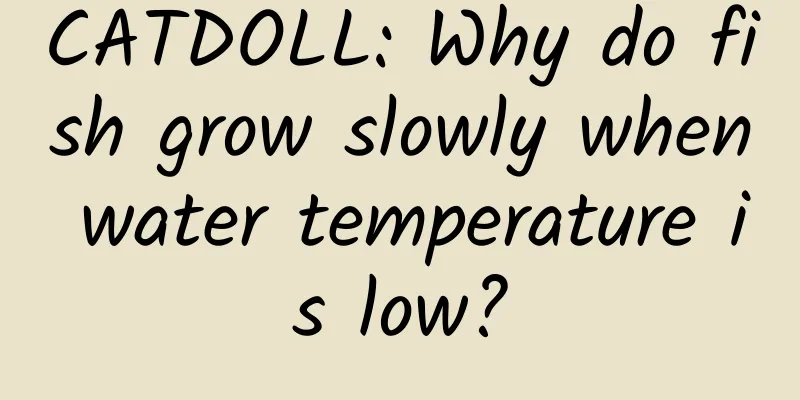 CATDOLL: Why do fish grow slowly when water temperature is low?