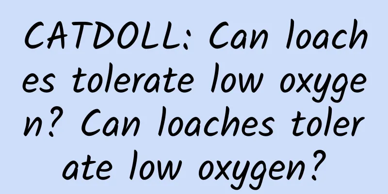 CATDOLL: Can loaches tolerate low oxygen? Can loaches tolerate low oxygen?