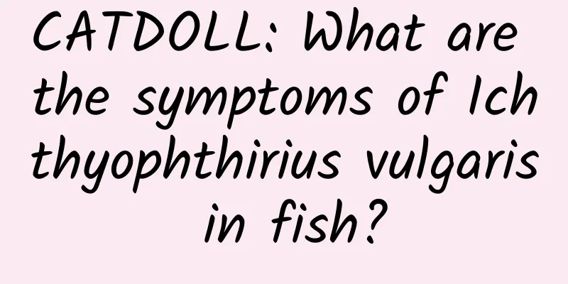 CATDOLL: What are the symptoms of Ichthyophthirius vulgaris in fish?