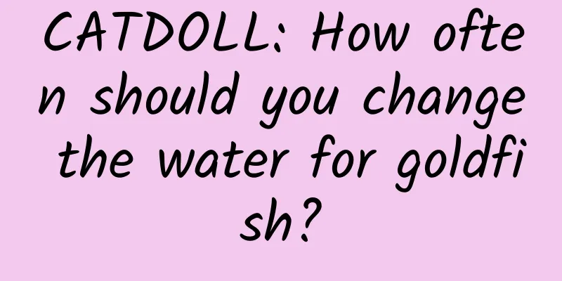 CATDOLL: How often should you change the water for goldfish?