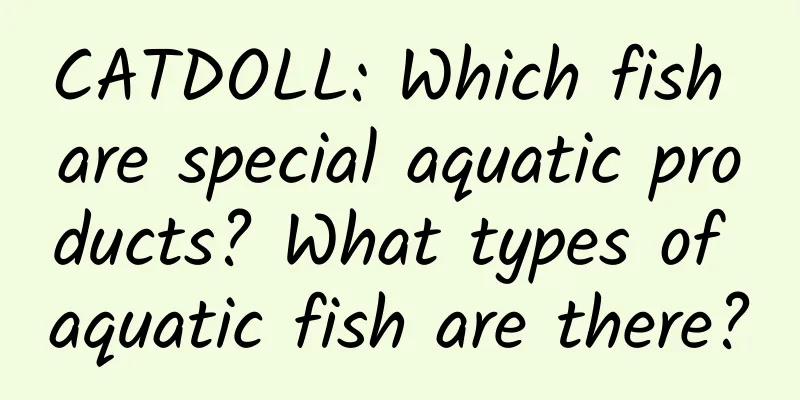 CATDOLL: Which fish are special aquatic products? What types of aquatic fish are there?