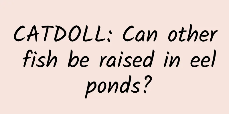 CATDOLL: Can other fish be raised in eel ponds?