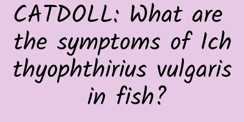 CATDOLL: What are the symptoms of Ichthyophthirius vulgaris in fish?