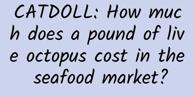 CATDOLL: How much does a pound of live octopus cost in the seafood market?