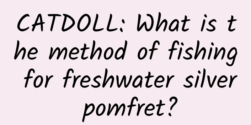 CATDOLL: What is the method of fishing for freshwater silver pomfret?