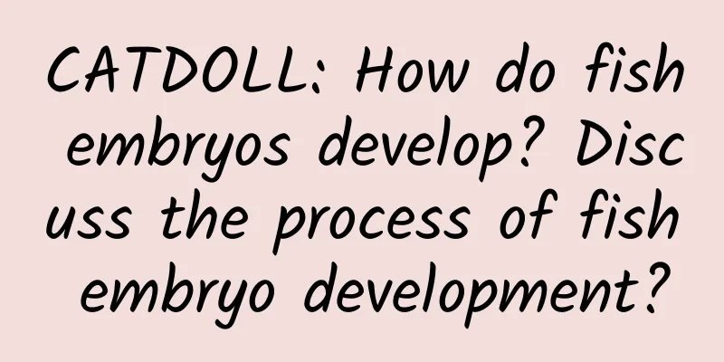 CATDOLL: How do fish embryos develop? Discuss the process of fish embryo development?