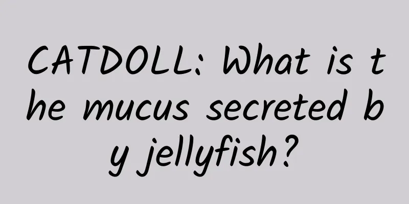 CATDOLL: What is the mucus secreted by jellyfish?