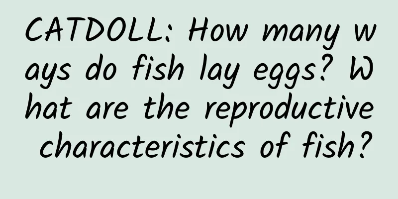 CATDOLL: How many ways do fish lay eggs? What are the reproductive characteristics of fish?