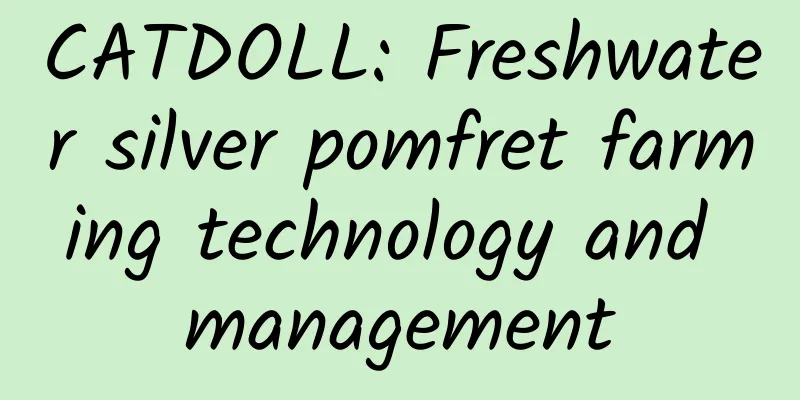 CATDOLL: Freshwater silver pomfret farming technology and management