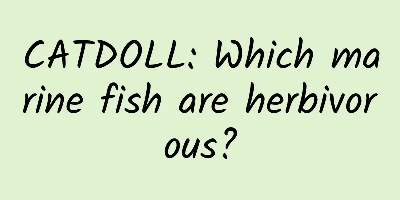 CATDOLL: Which marine fish are herbivorous?
