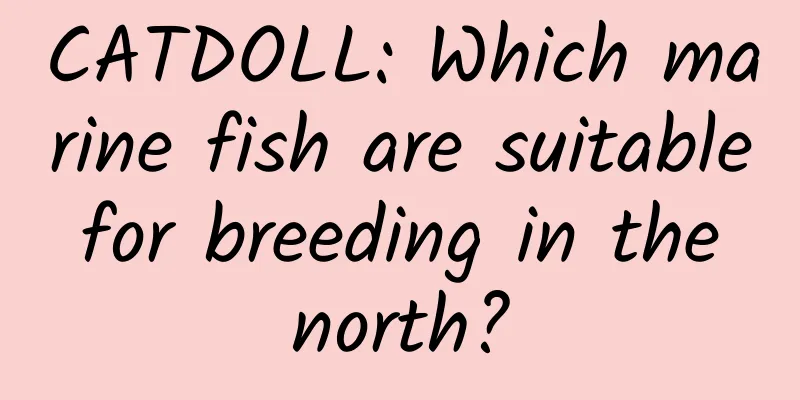 CATDOLL: Which marine fish are suitable for breeding in the north?