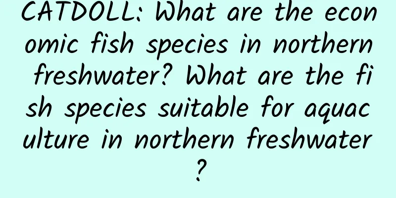 CATDOLL: What are the economic fish species in northern freshwater? What are the fish species suitable for aquaculture in northern freshwater?