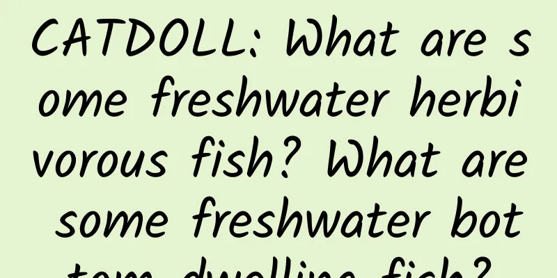 CATDOLL: What are some freshwater herbivorous fish? What are some freshwater bottom-dwelling fish?