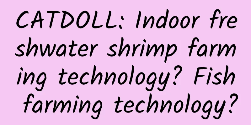 CATDOLL: Indoor freshwater shrimp farming technology? Fish farming technology?