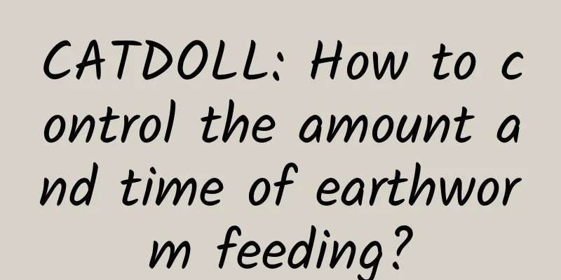 CATDOLL: How to control the amount and time of earthworm feeding?