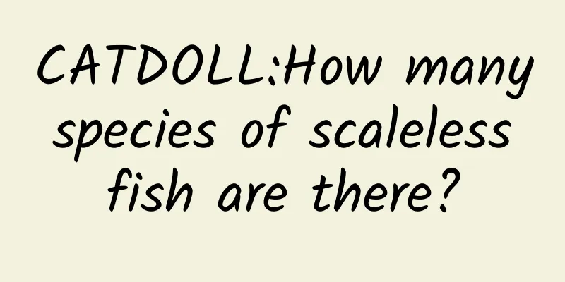 CATDOLL:How many species of scaleless fish are there?