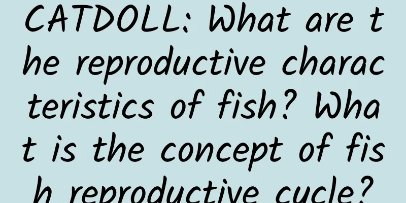 CATDOLL: What are the reproductive characteristics of fish? What is the concept of fish reproductive cycle?