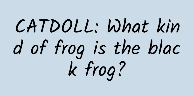 CATDOLL: What kind of frog is the black frog?