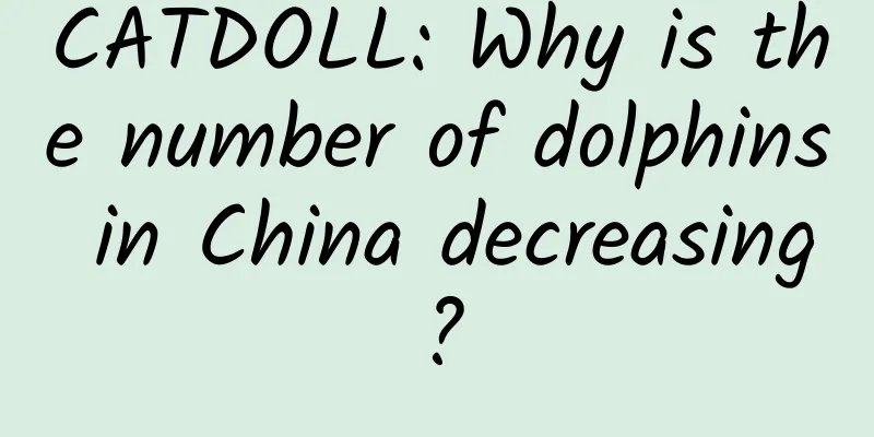CATDOLL: Why is the number of dolphins in China decreasing?