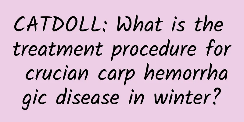 CATDOLL: What is the treatment procedure for crucian carp hemorrhagic disease in winter?